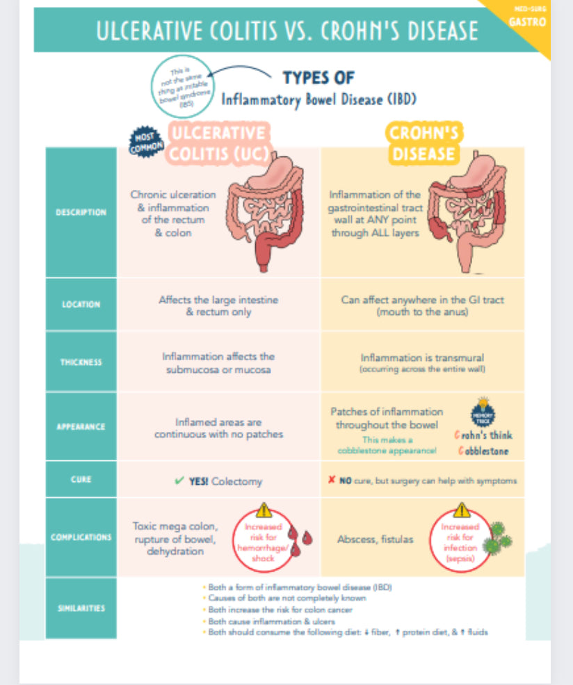 Gastro Study Guide