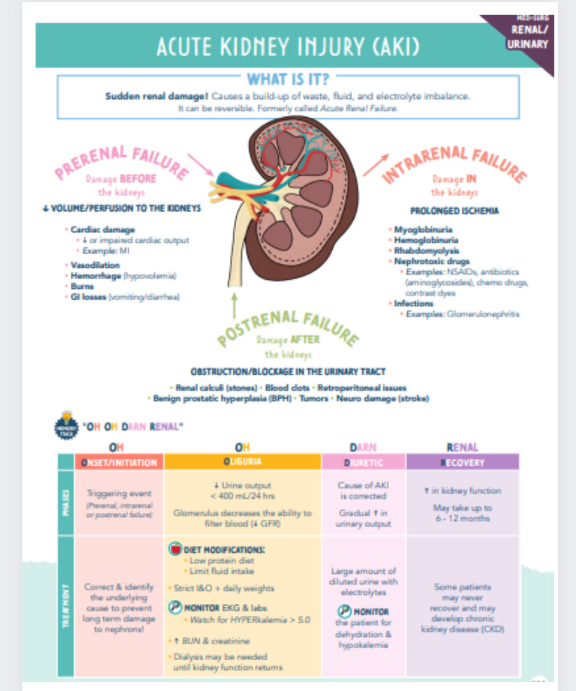 Renal