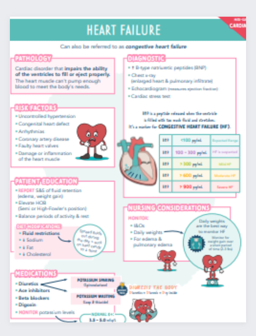 Cardiac Study Guide