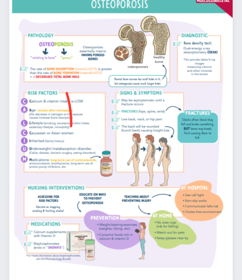 Musculoskeletal