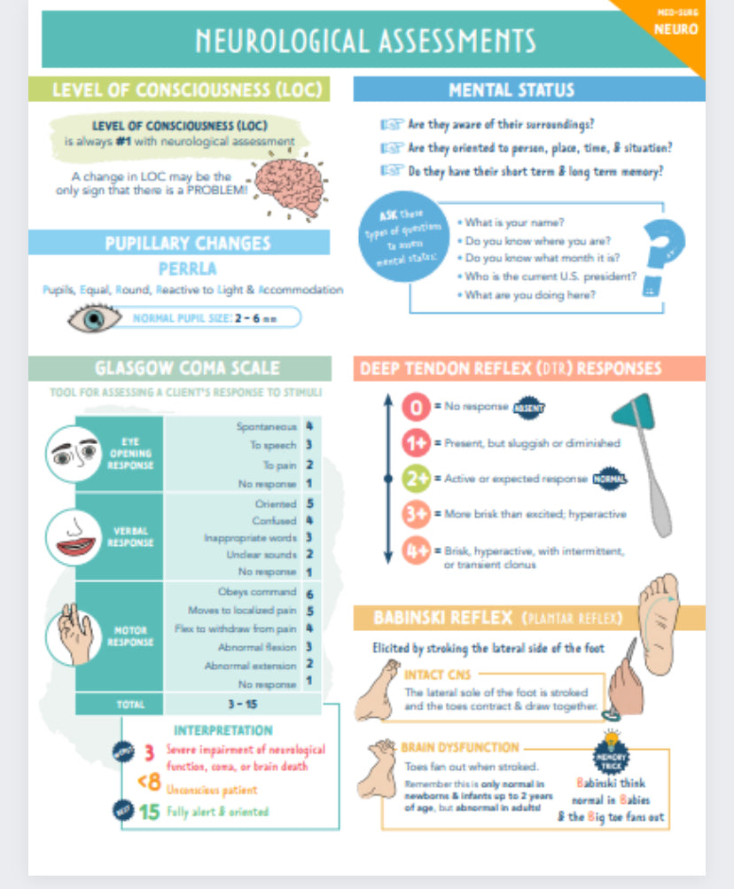 Neurology Study Guide