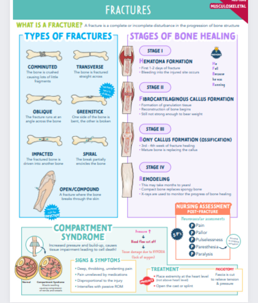 Musculoskeletal