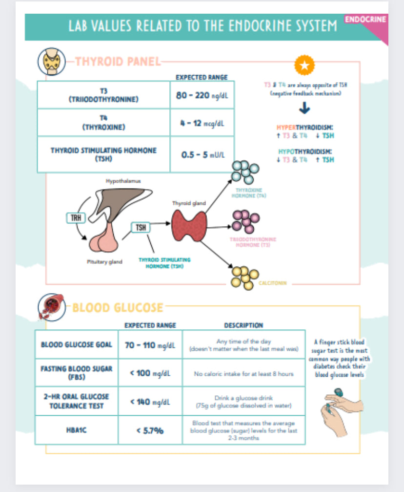 Endocrine