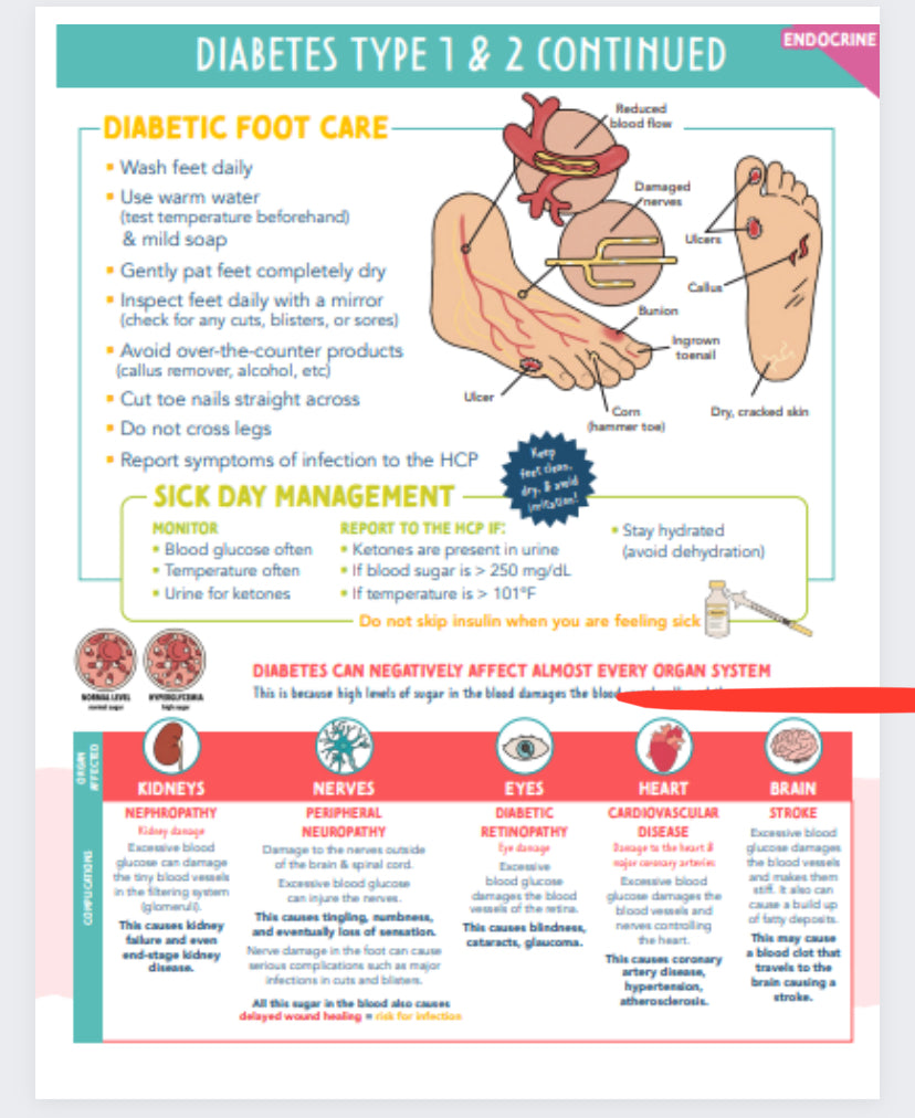 Endocrine