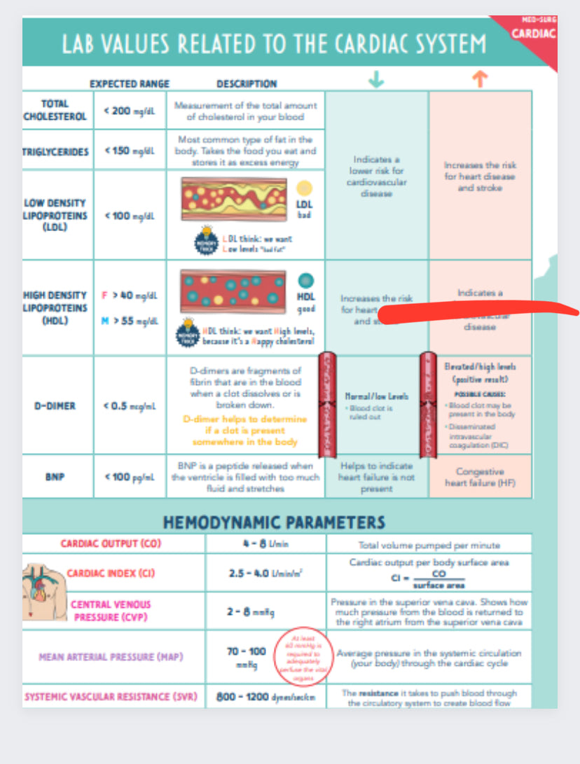 Cardiac Study Guide