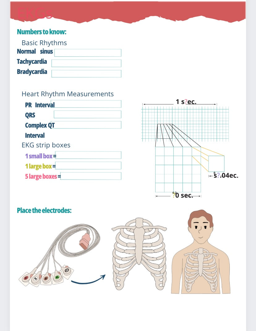 EKGs Workbook