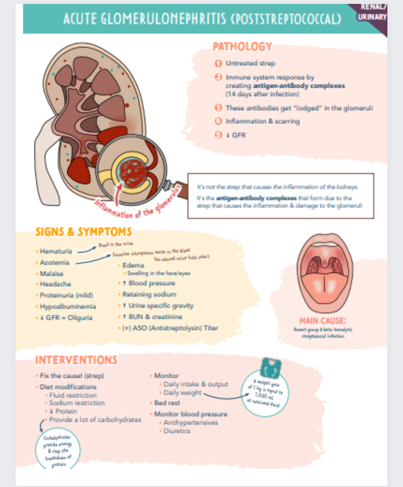 Renal