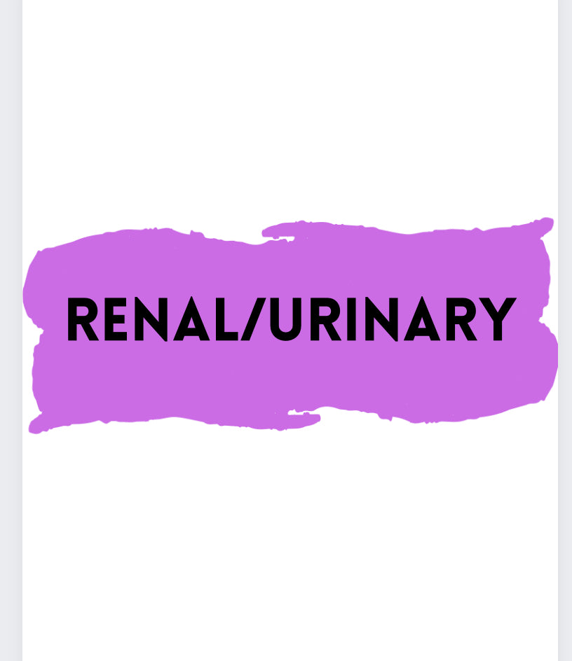 Renal